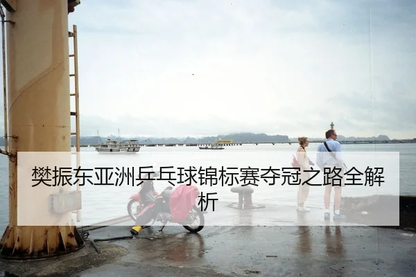 樊振东亚洲乒乓球锦标赛夺冠之路全解析